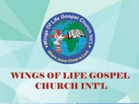 logo wings of life